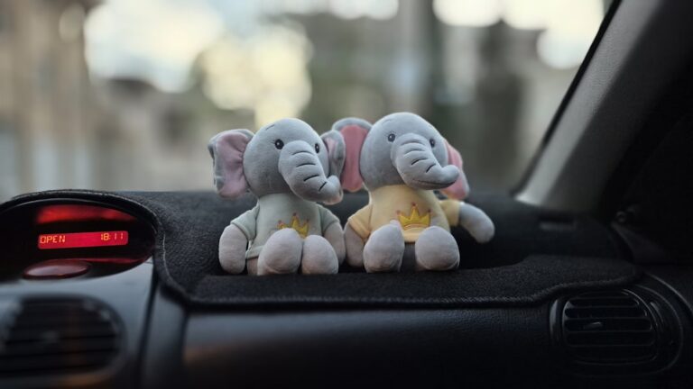 Upgrade Your Ride: Stylish Accessories for Every Car Enthusiast